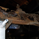 Illustration for article titled My $500 Postal Jeeps Rusted-Out Frame Will Give You Nightmares